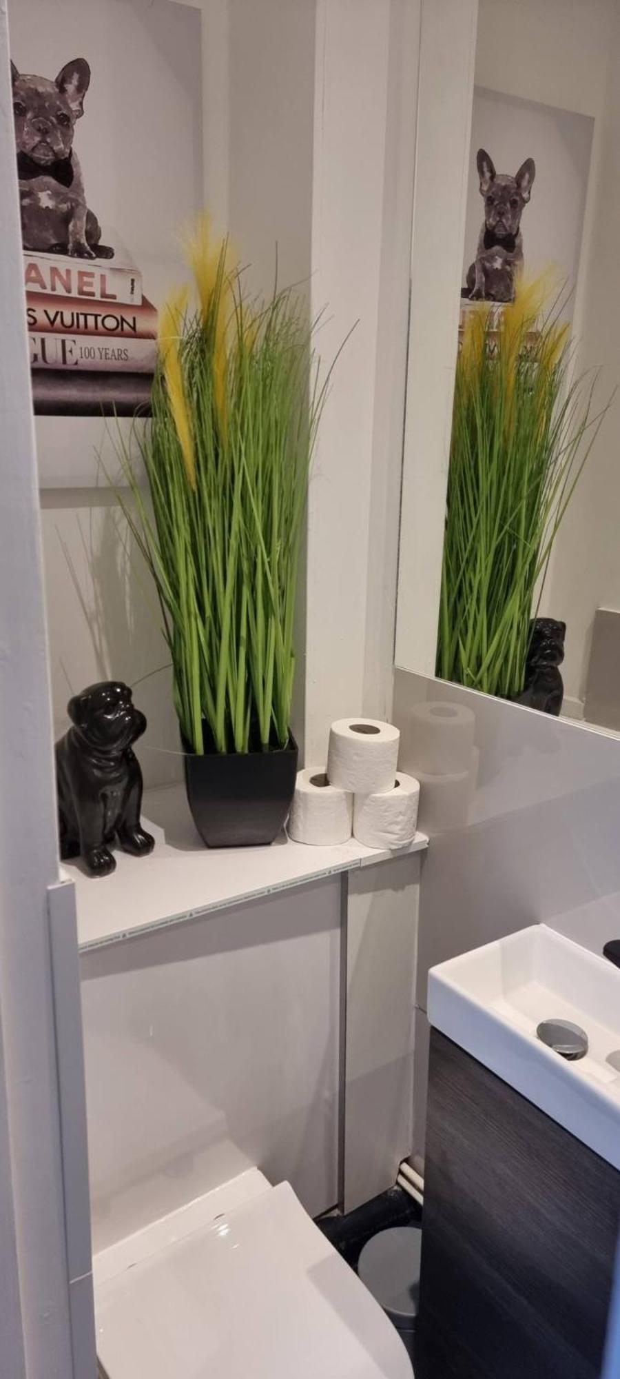 Central London Studio 1Bedroom エクステリア 写真